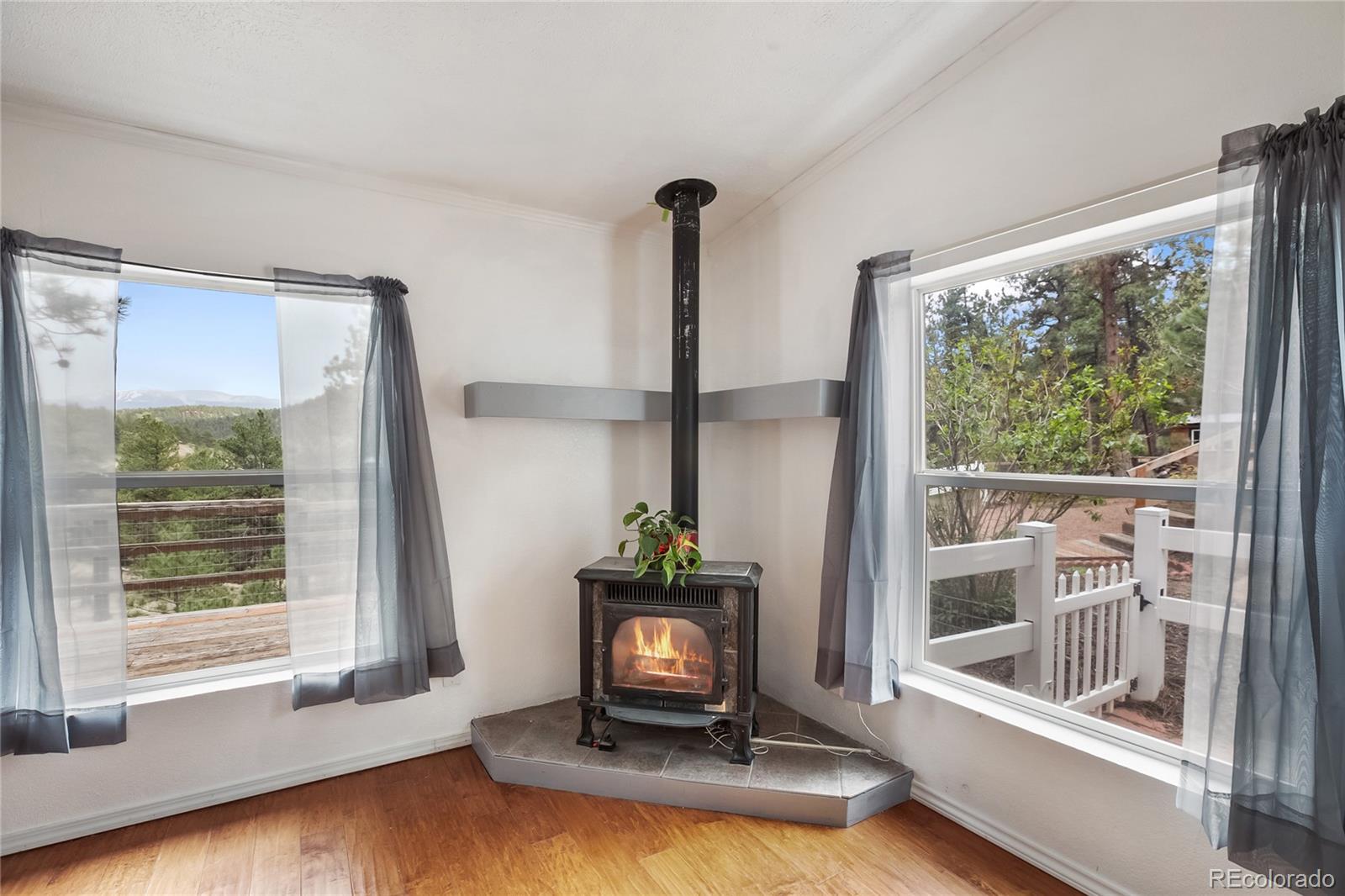 MLS Image #27 for 840  obsidian drive,florissant, Colorado