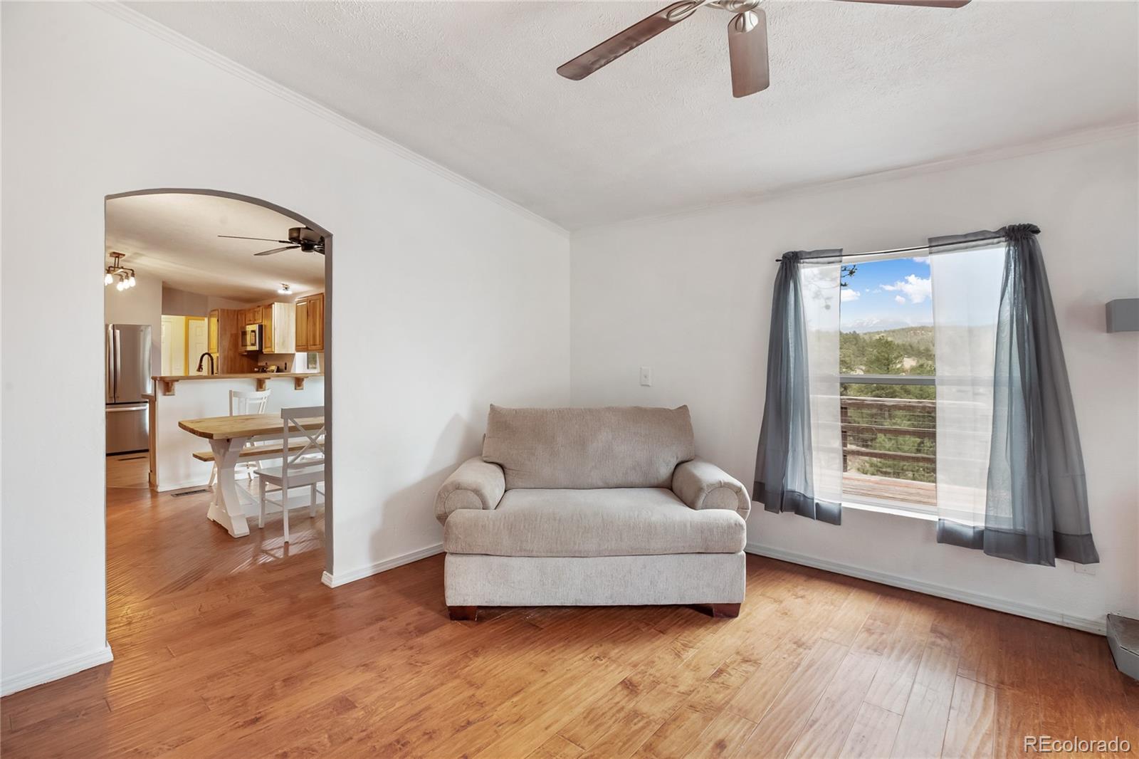 MLS Image #29 for 840  obsidian drive,florissant, Colorado