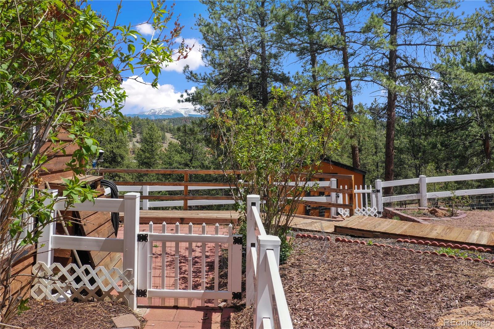 MLS Image #43 for 840  obsidian drive,florissant, Colorado