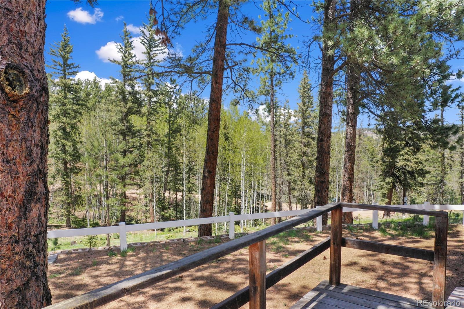 MLS Image #44 for 840  obsidian drive,florissant, Colorado