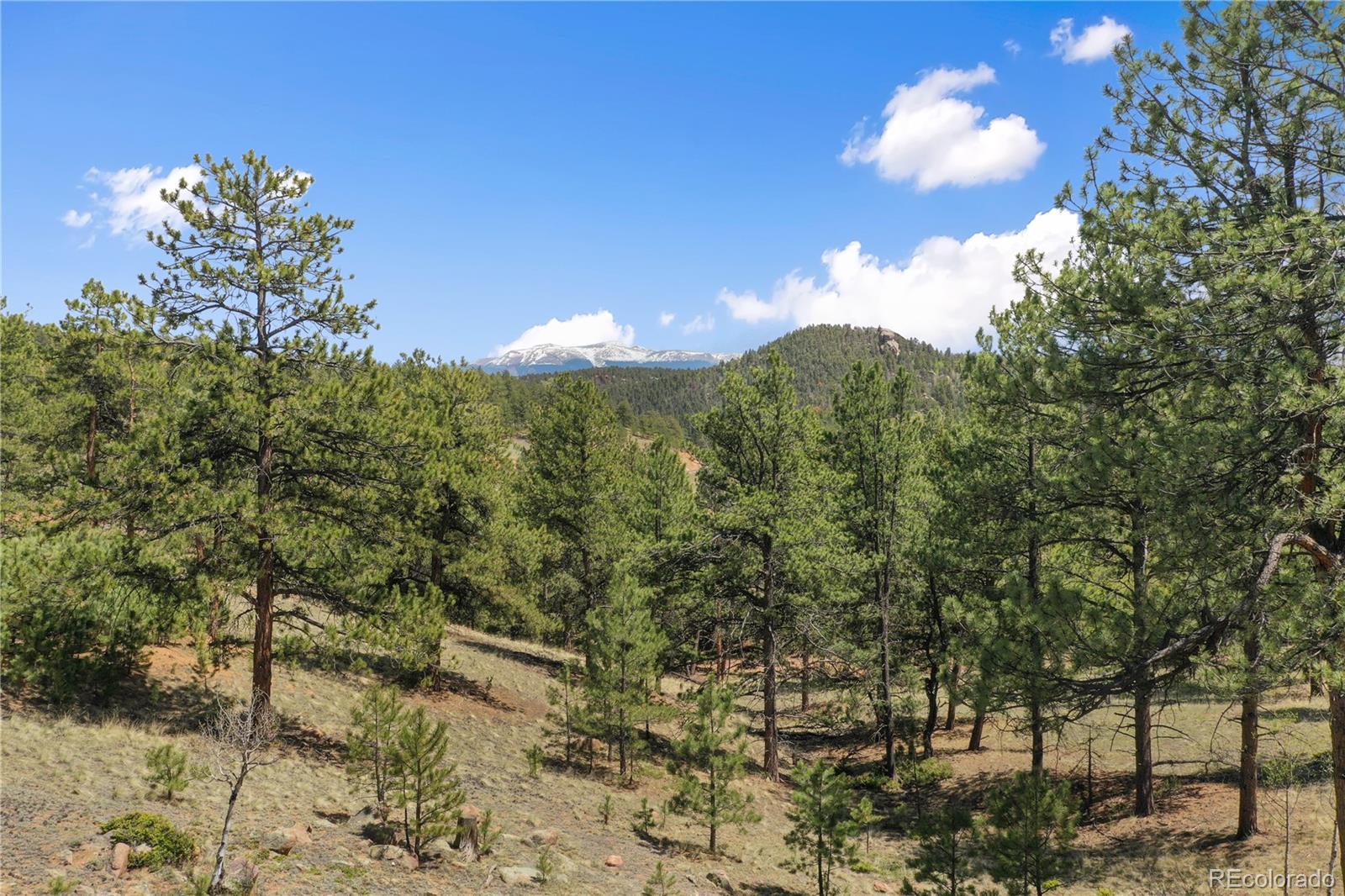 MLS Image #8 for 840  obsidian drive,florissant, Colorado