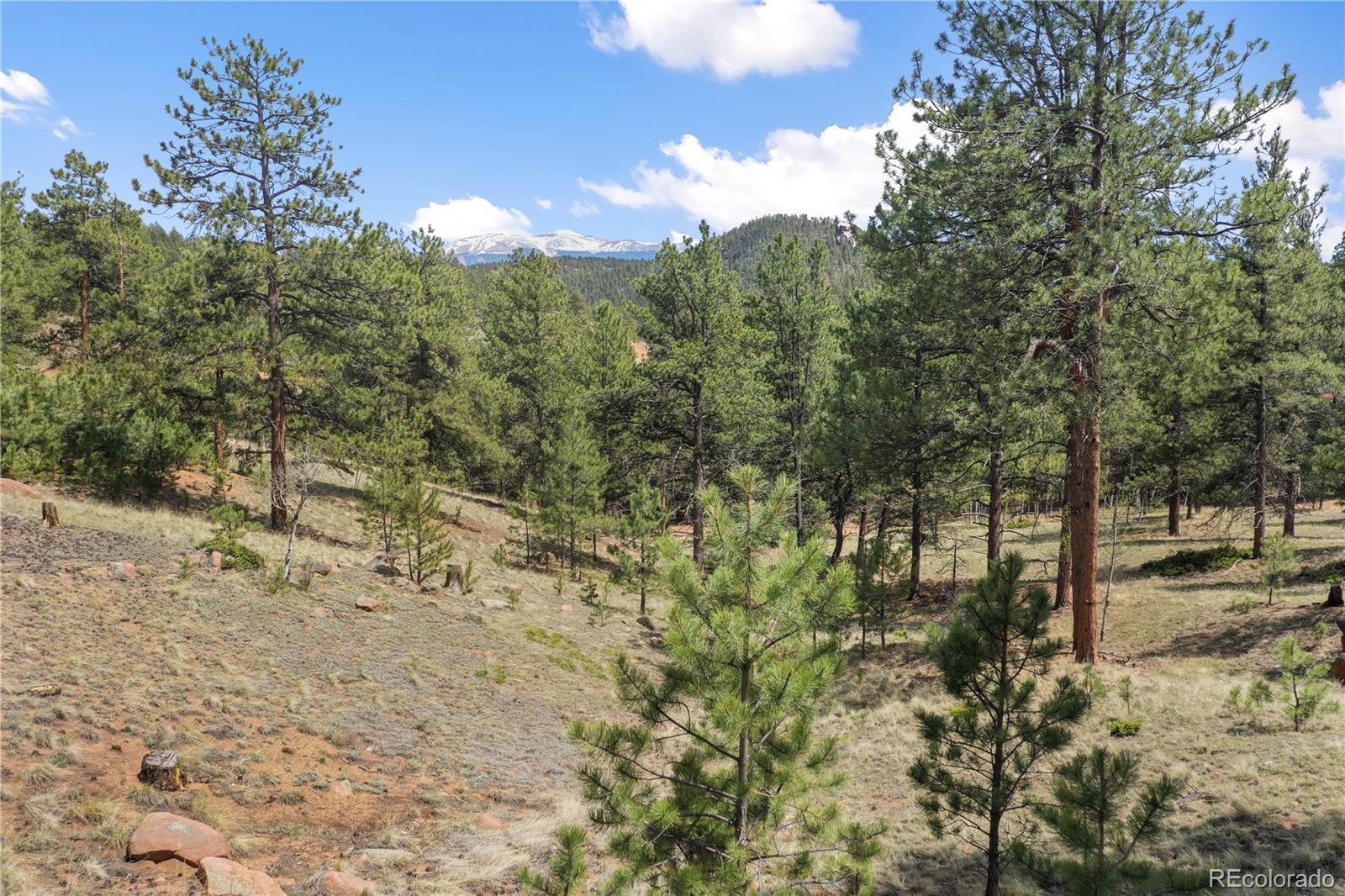 MLS Image #9 for 840  obsidian drive,florissant, Colorado