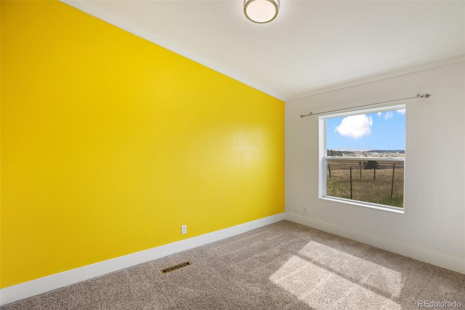 MLS Image #28 for 527  golden grain lane,divide, Colorado