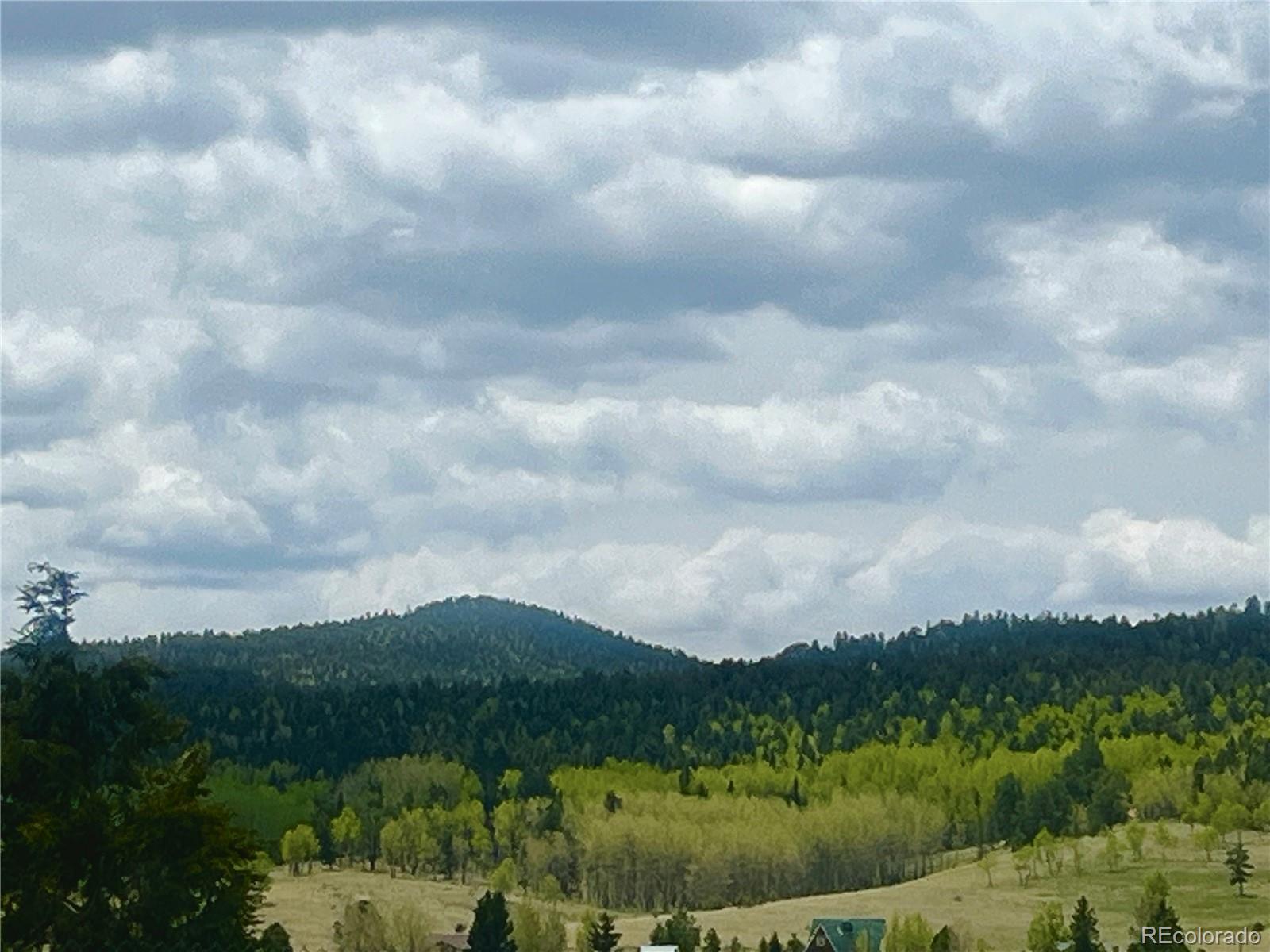 MLS Image #45 for 527  golden grain lane,divide, Colorado
