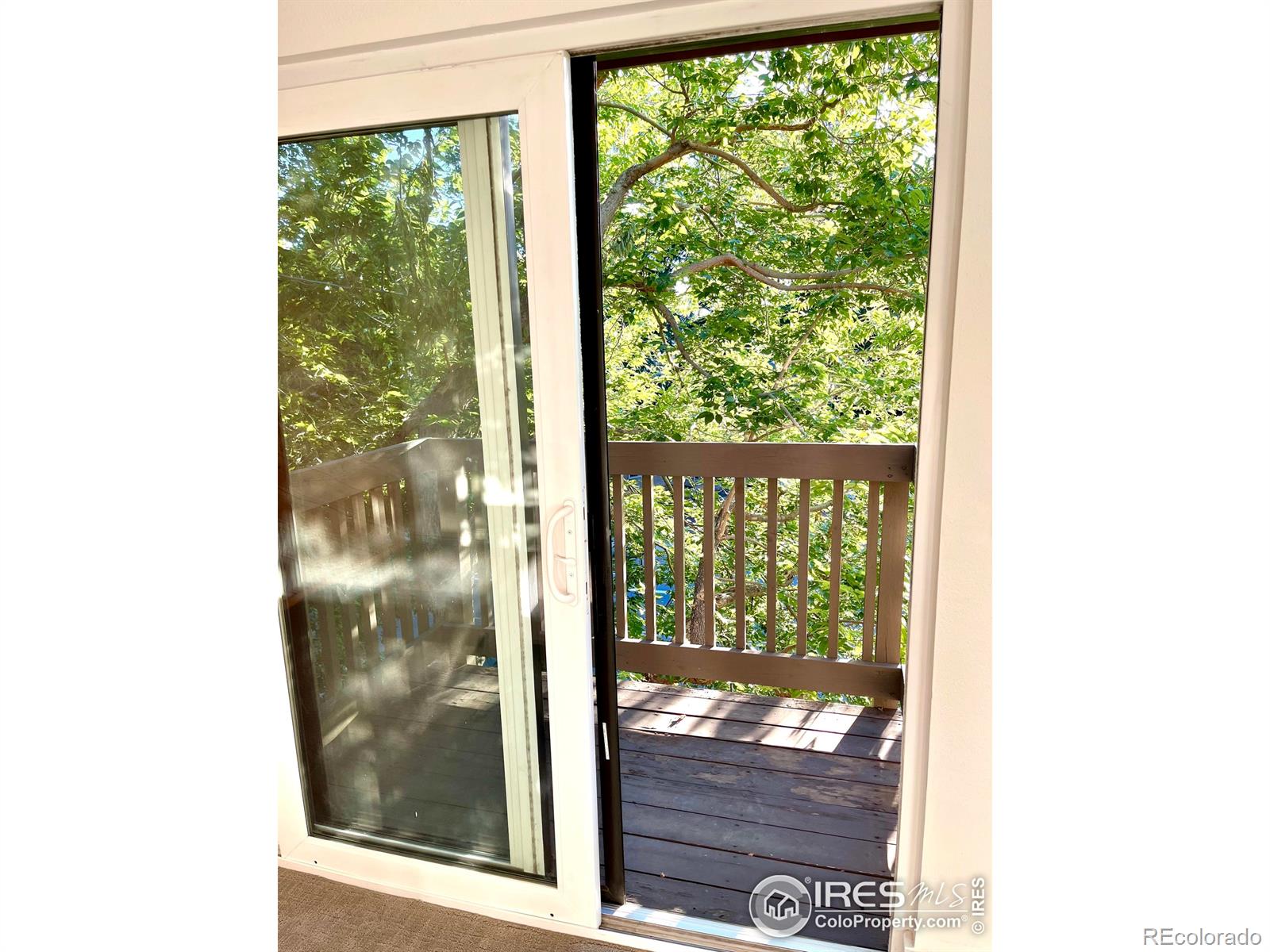 MLS Image #11 for 827  maxwell avenue,boulder, Colorado