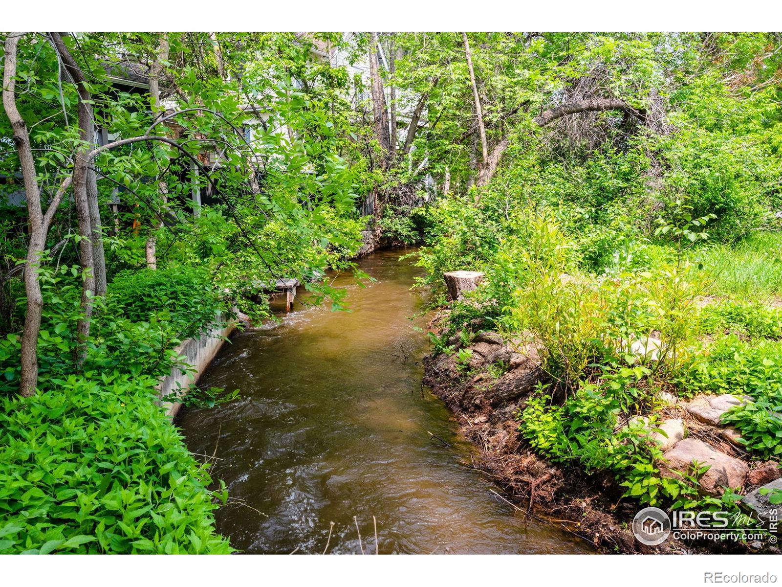 MLS Image #12 for 827  maxwell avenue,boulder, Colorado