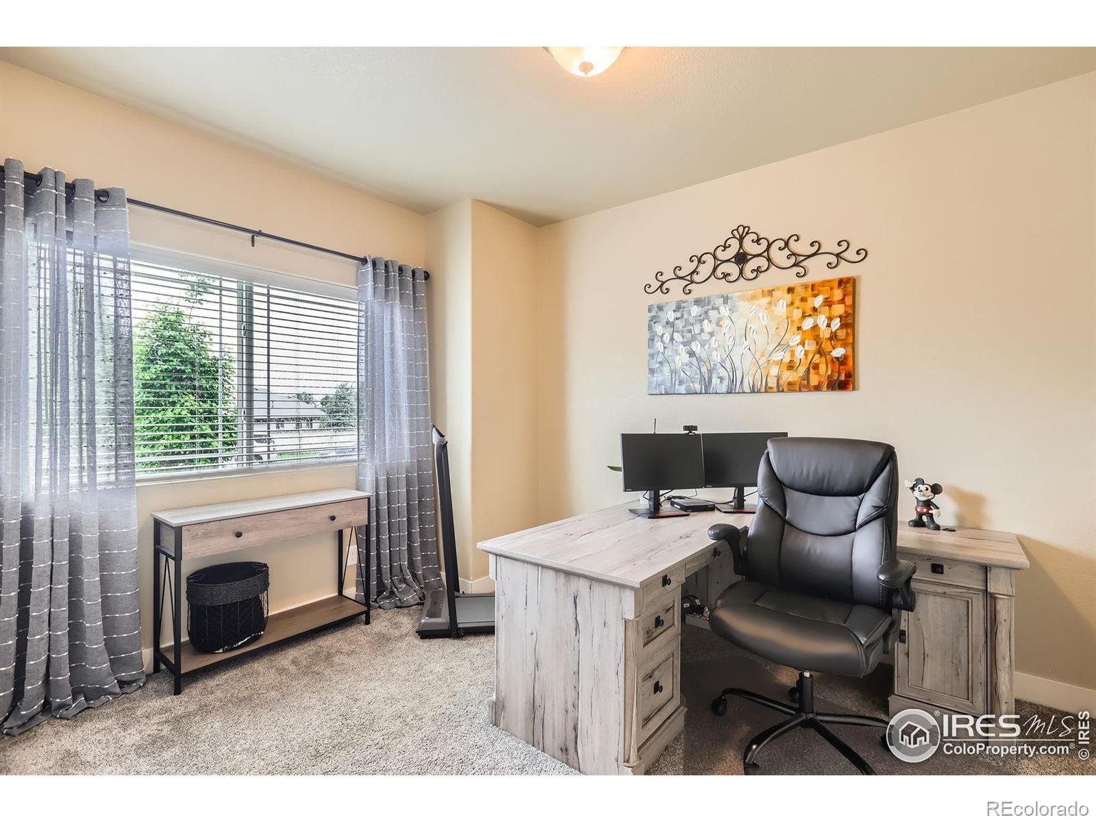 MLS Image #10 for 405  timber ridge parkway,severance, Colorado