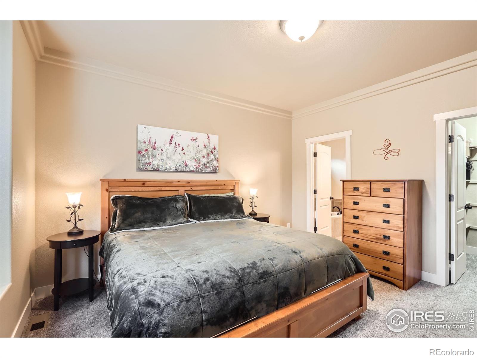 MLS Image #8 for 405  timber ridge parkway,severance, Colorado