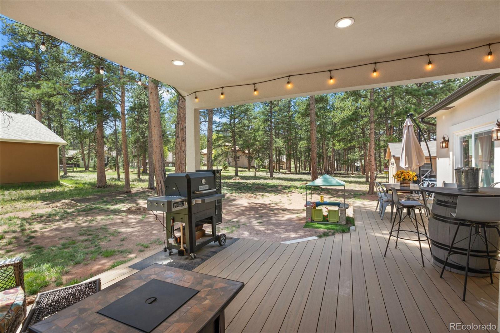 MLS Image #6 for 1378  millstone lane,woodland park, Colorado