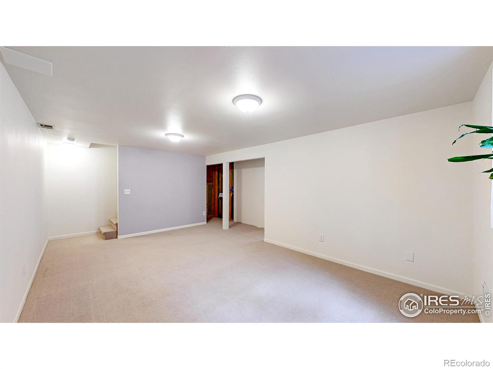 MLS Image #14 for 2415  sunray court,fort collins, Colorado
