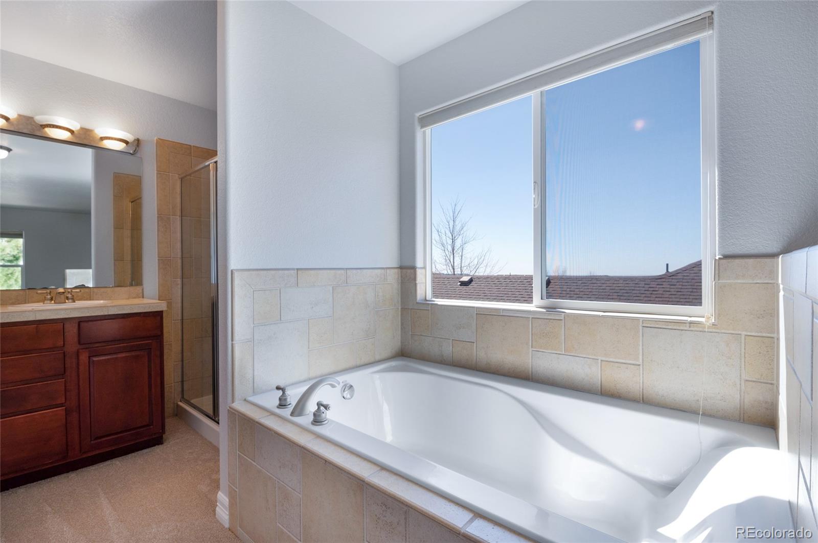 MLS Image #9 for 7436  centennial glen drive,colorado springs, Colorado