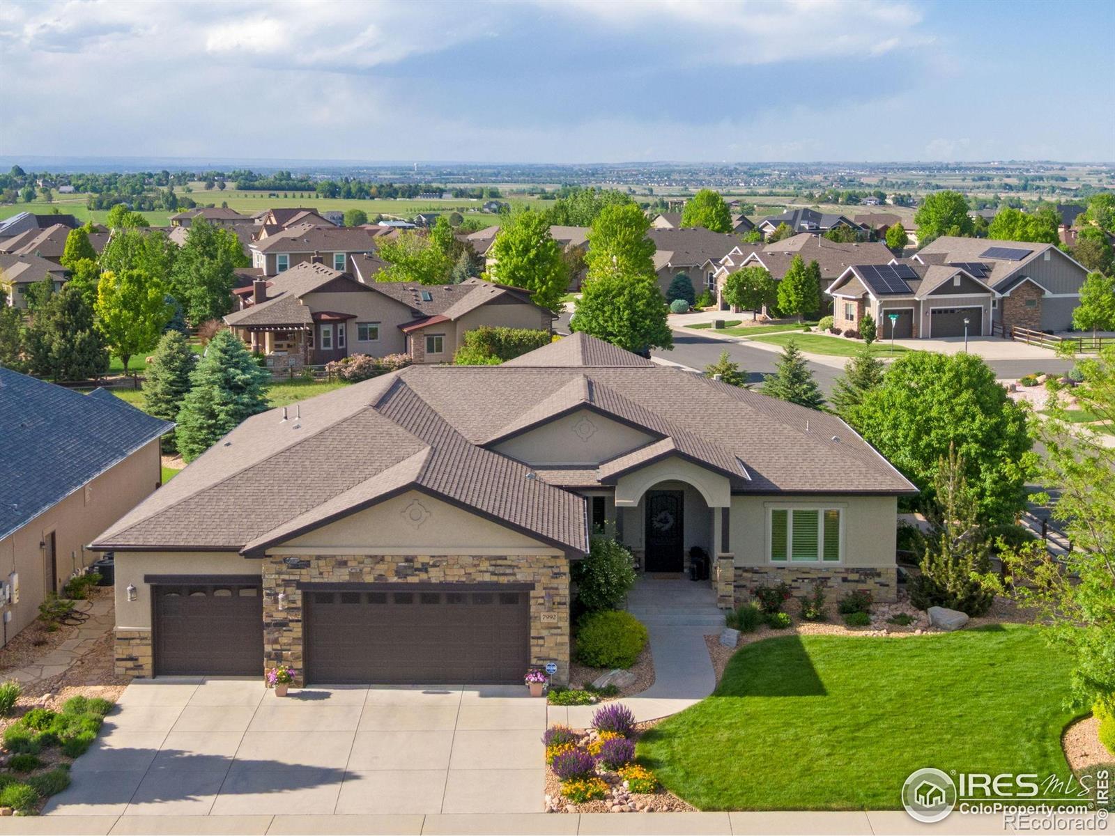 MLS Image #19 for 7992  rising sun court,windsor, Colorado