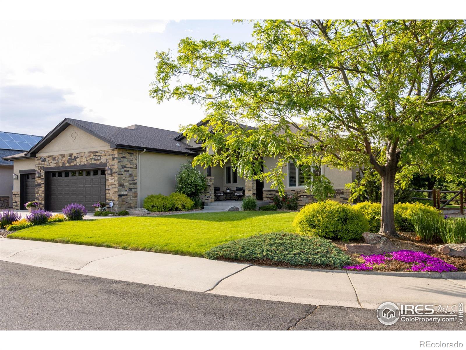 MLS Image #2 for 7992  rising sun court,windsor, Colorado