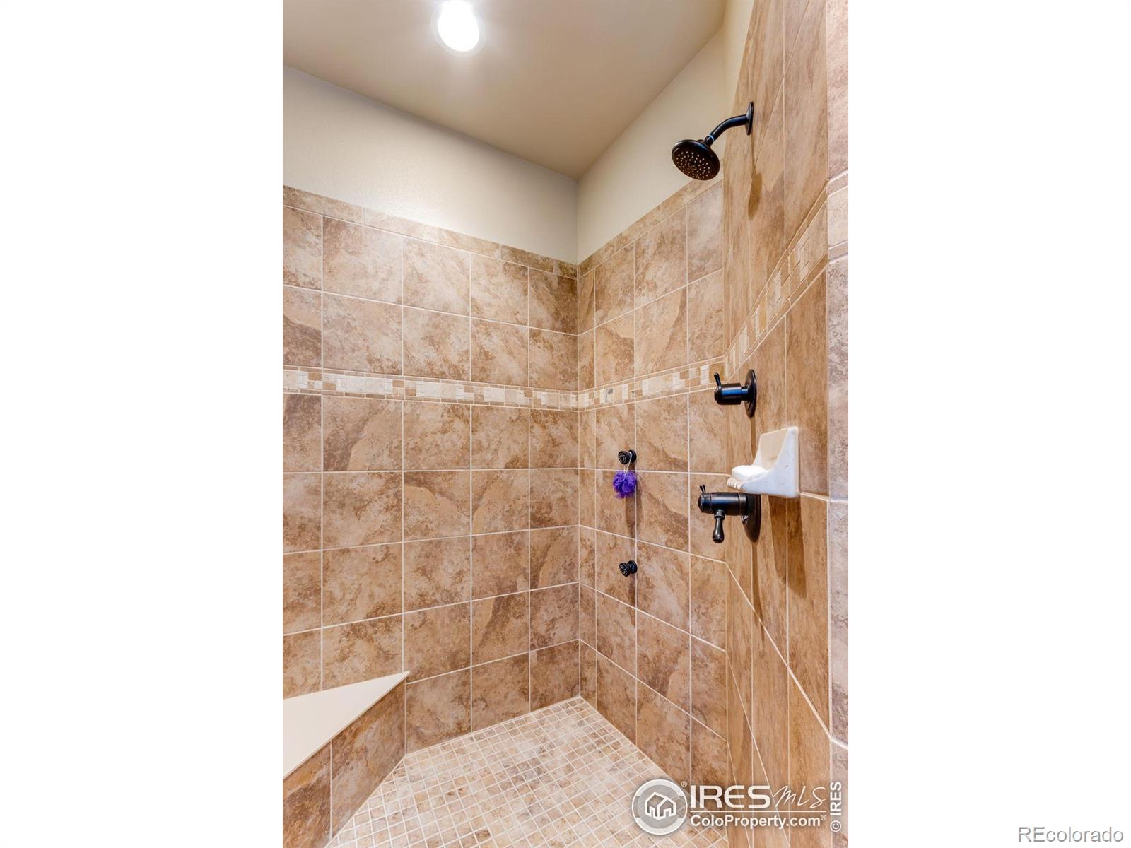 MLS Image #23 for 7992  rising sun court,windsor, Colorado
