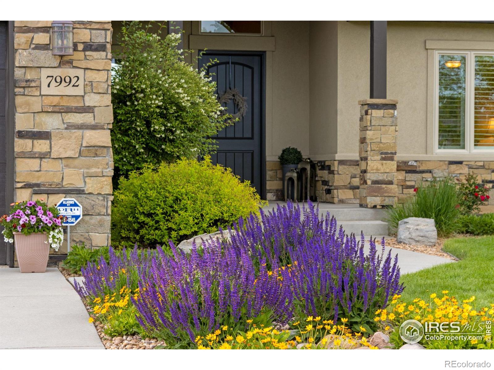 MLS Image #3 for 7992  rising sun court,windsor, Colorado