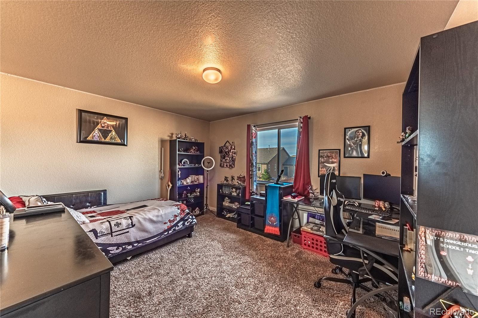 MLS Image #28 for 12420  mount belford way,peyton, Colorado