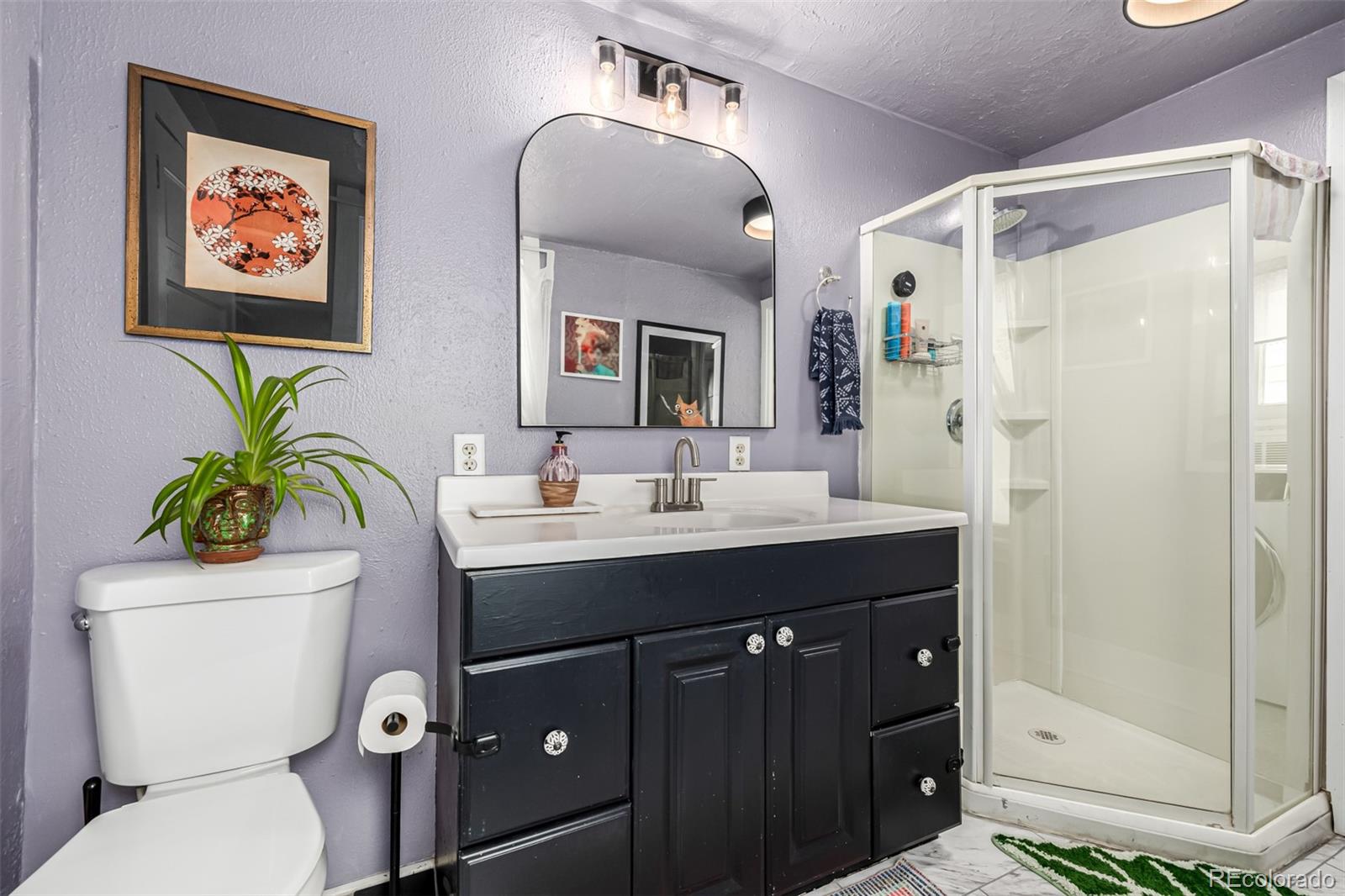 MLS Image #16 for 3116 s lincoln street,englewood, Colorado
