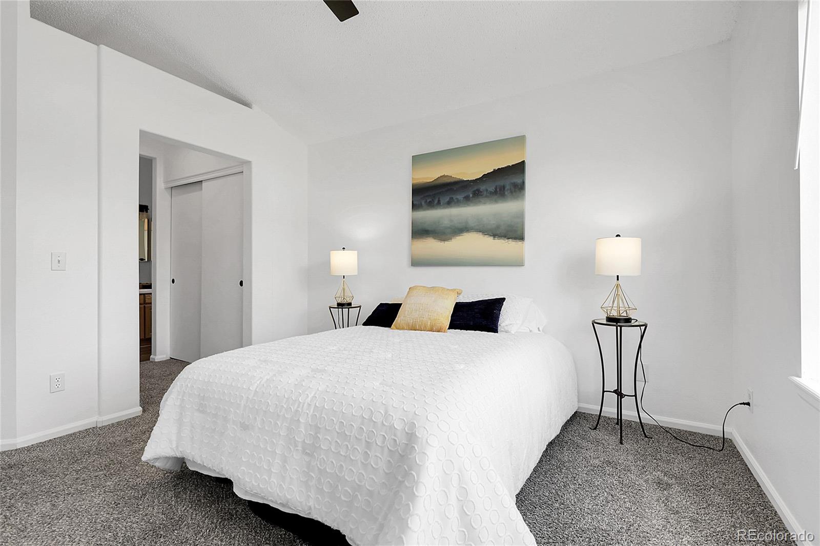 MLS Image #15 for 8935  sleepy grass court,parker, Colorado