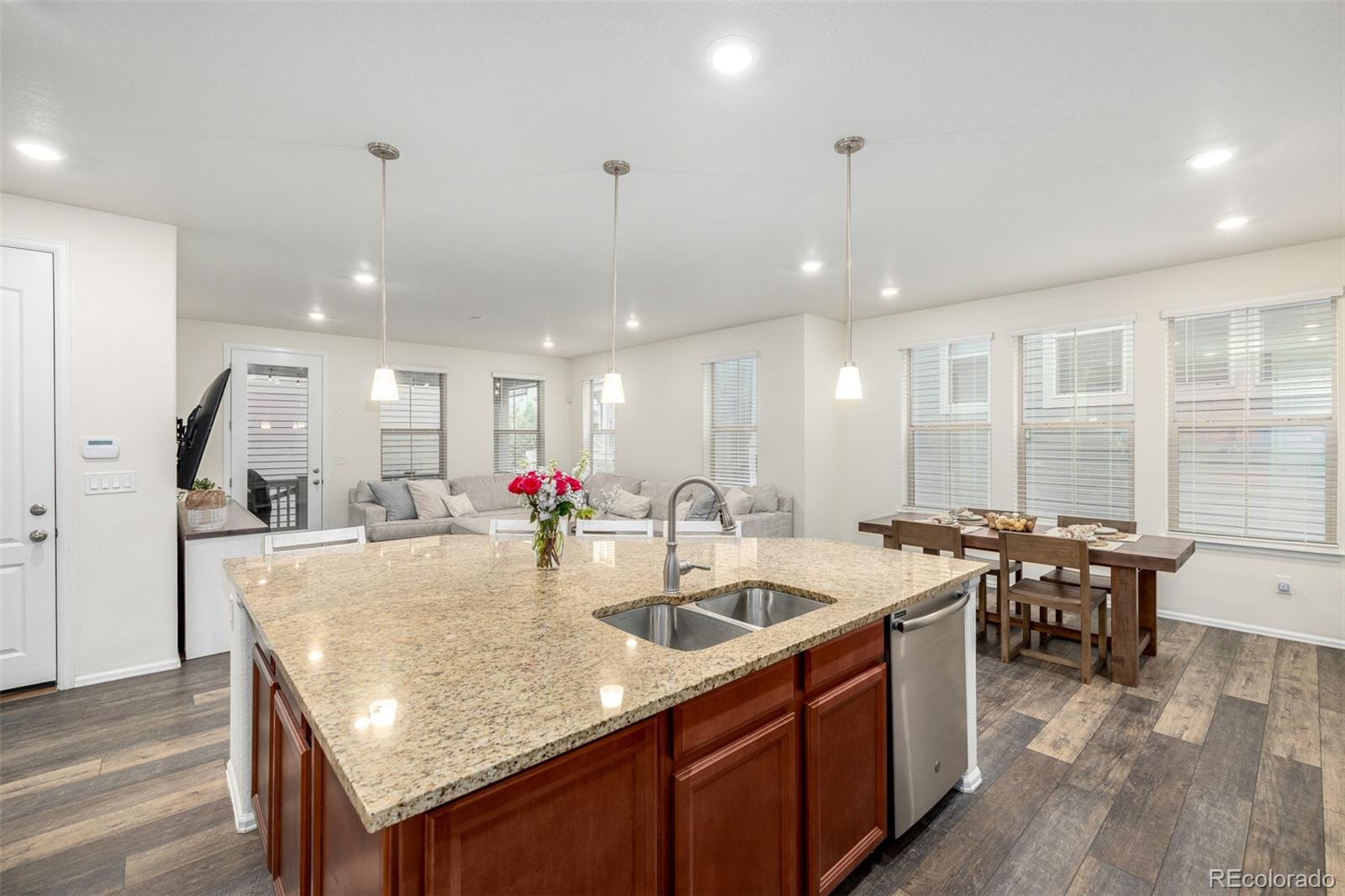 MLS Image #16 for 9723  bennett peak street,littleton, Colorado