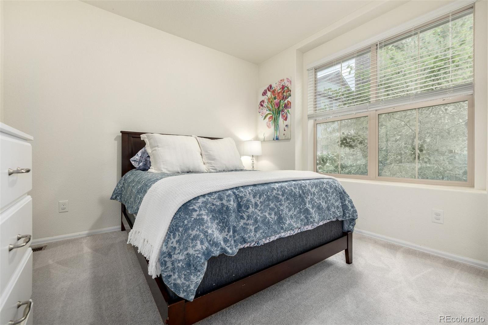 MLS Image #17 for 9723  bennett peak street,littleton, Colorado
