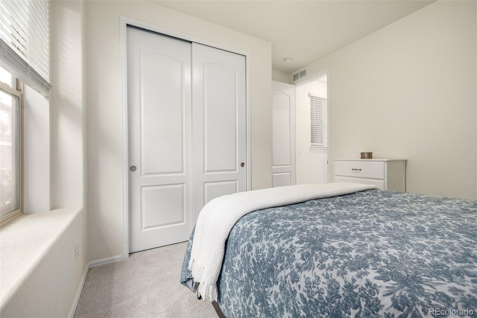 MLS Image #19 for 9723  bennett peak street,littleton, Colorado