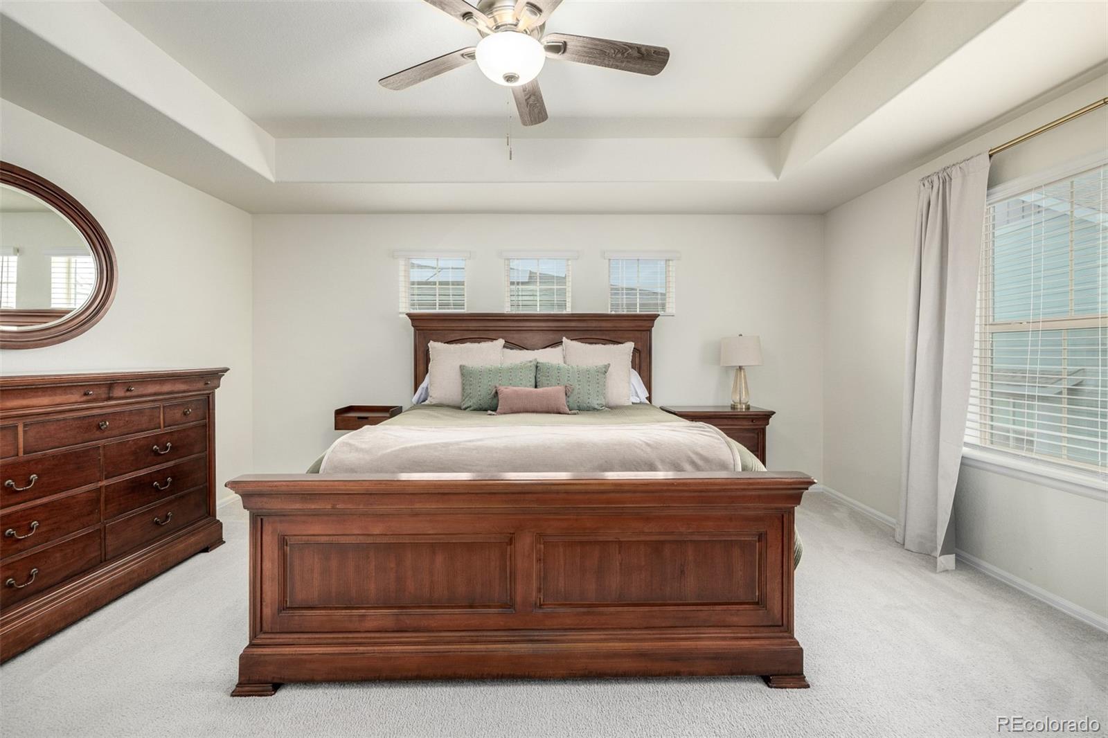 MLS Image #28 for 9723  bennett peak street,littleton, Colorado