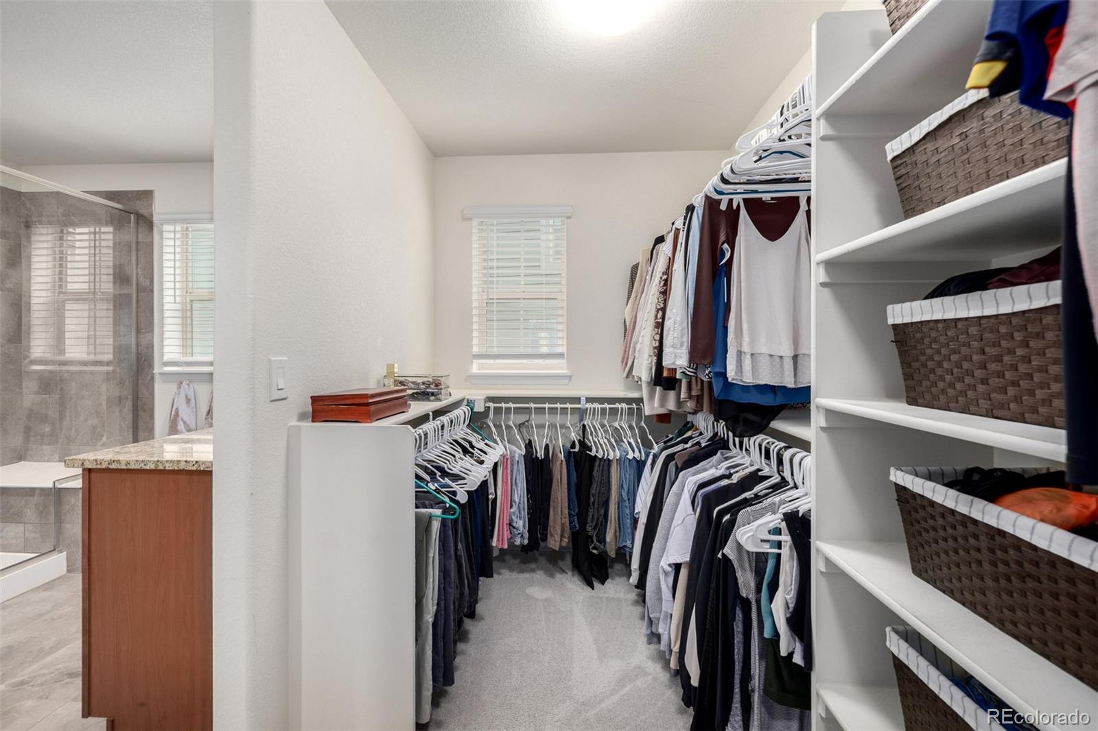 MLS Image #32 for 9723  bennett peak street,littleton, Colorado