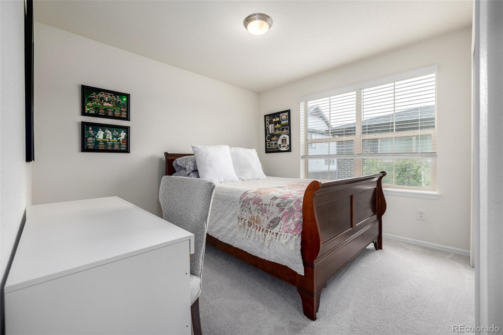MLS Image #33 for 9723  bennett peak street,littleton, Colorado