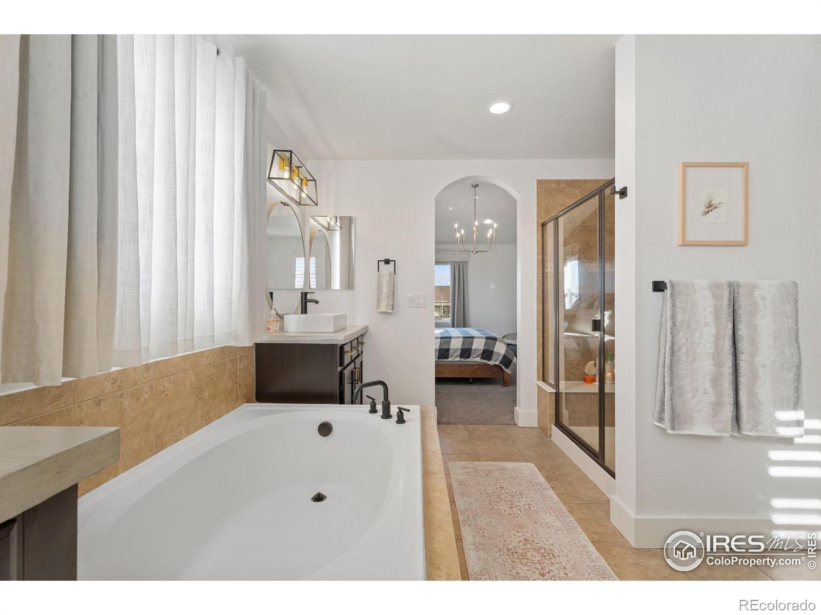 MLS Image #14 for 6434  cloudburst avenue,timnath, Colorado