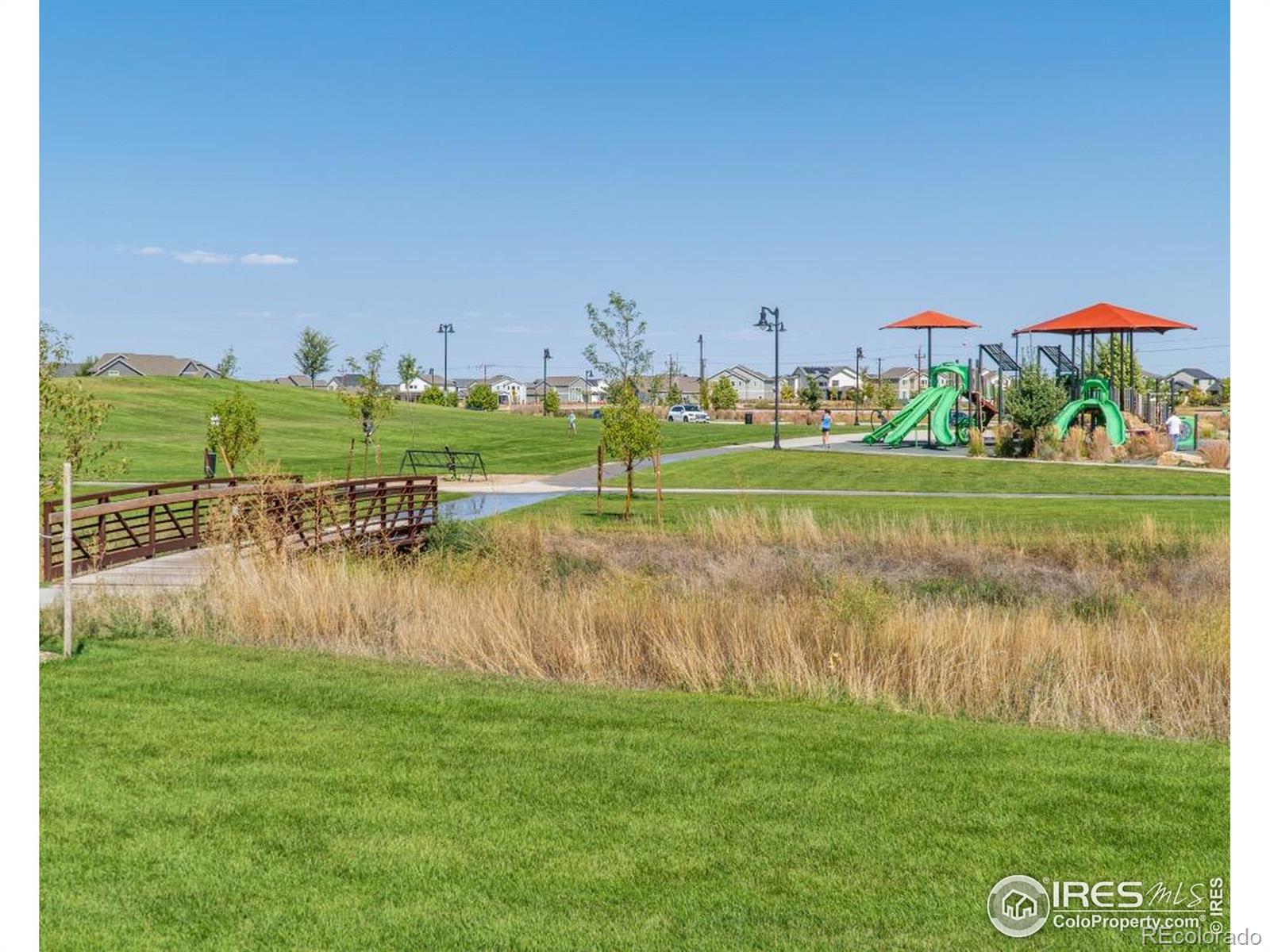 MLS Image #32 for 6434  cloudburst avenue,timnath, Colorado