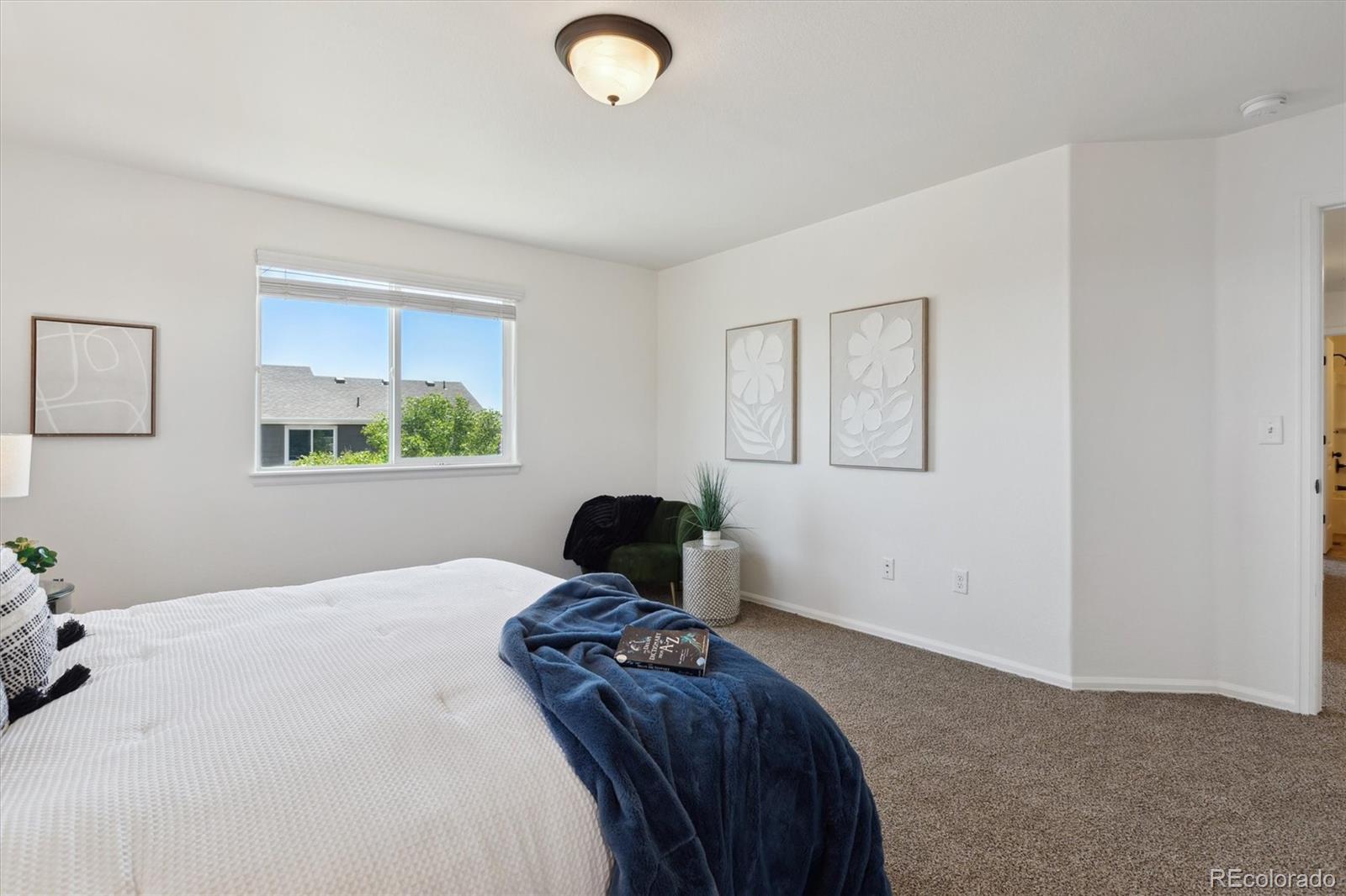 MLS Image #23 for 727  elk mountain drive,severance, Colorado