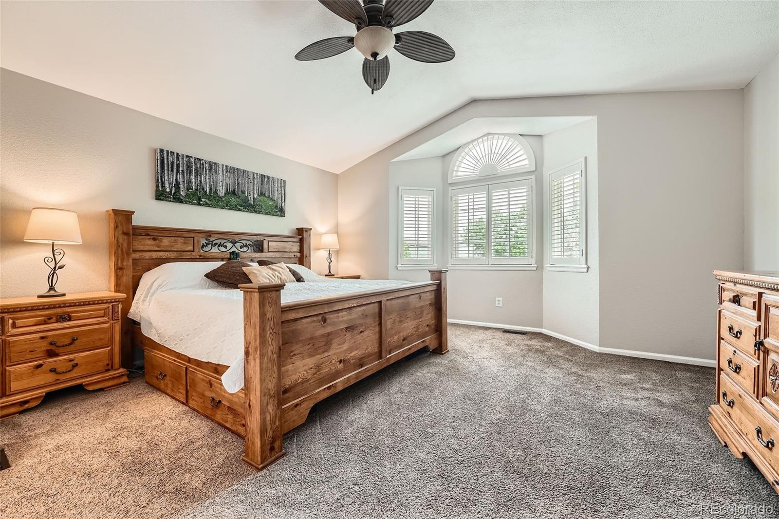 MLS Image #13 for 11522  pine grove lane,parker, Colorado