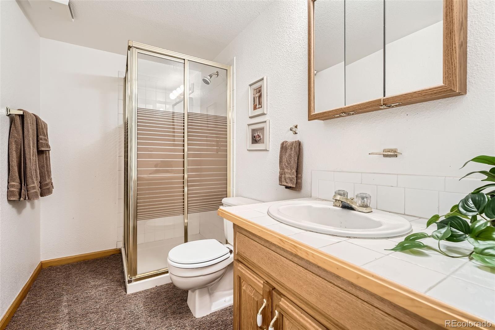 MLS Image #20 for 11522  pine grove lane,parker, Colorado