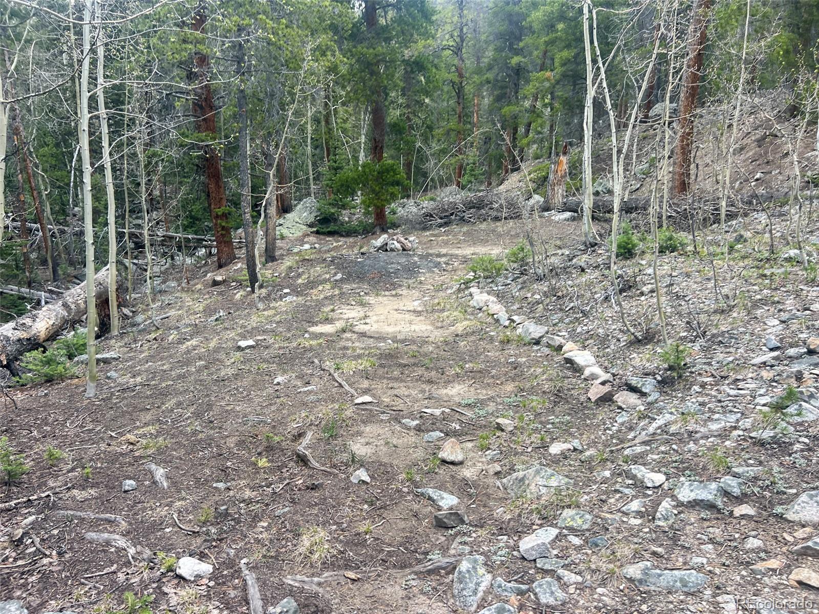 MLS Image #17 for 000  unassigned forest road 365 avenue,buena vista, Colorado