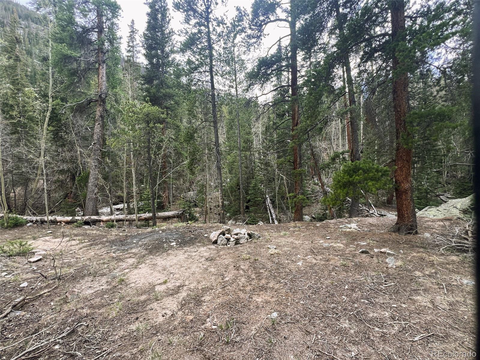 MLS Image #18 for 000  unassigned forest road 365 avenue,buena vista, Colorado