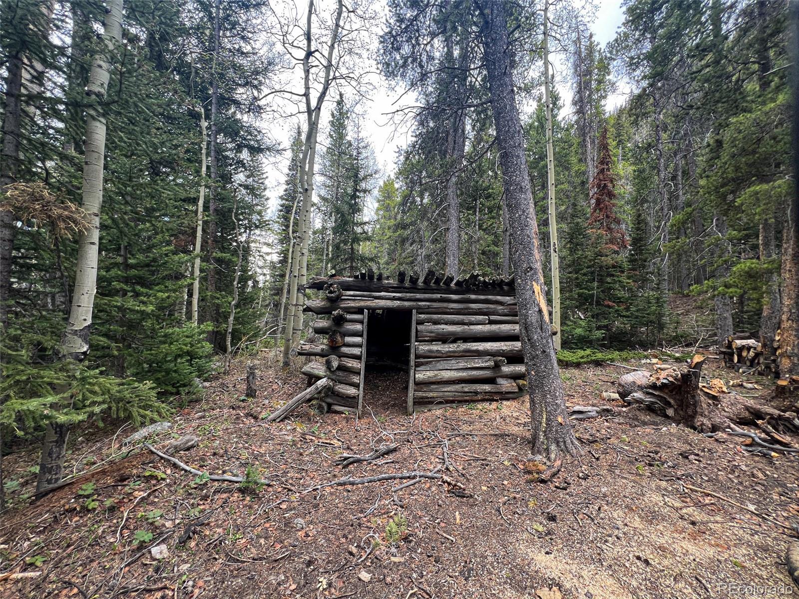MLS Image #21 for 000  unassigned forest road 365 avenue,buena vista, Colorado