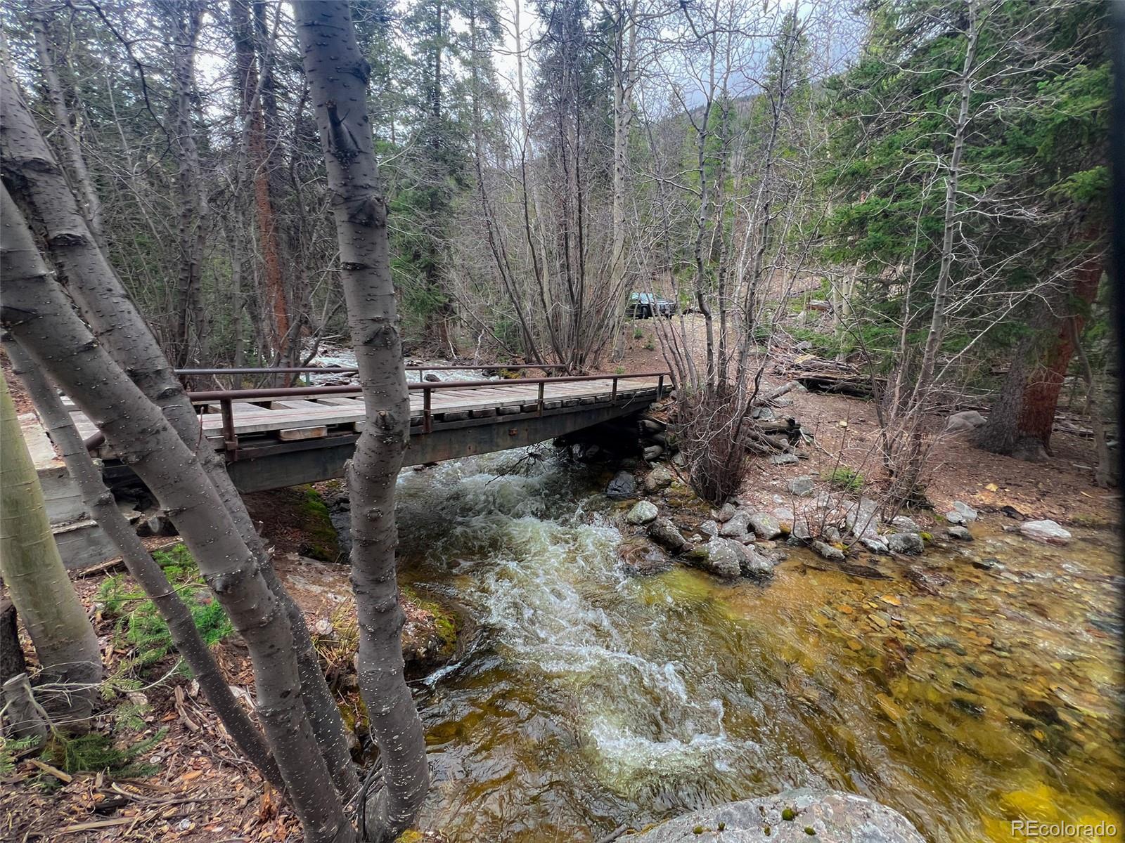 MLS Image #24 for 000  unassigned forest road 365 avenue,buena vista, Colorado