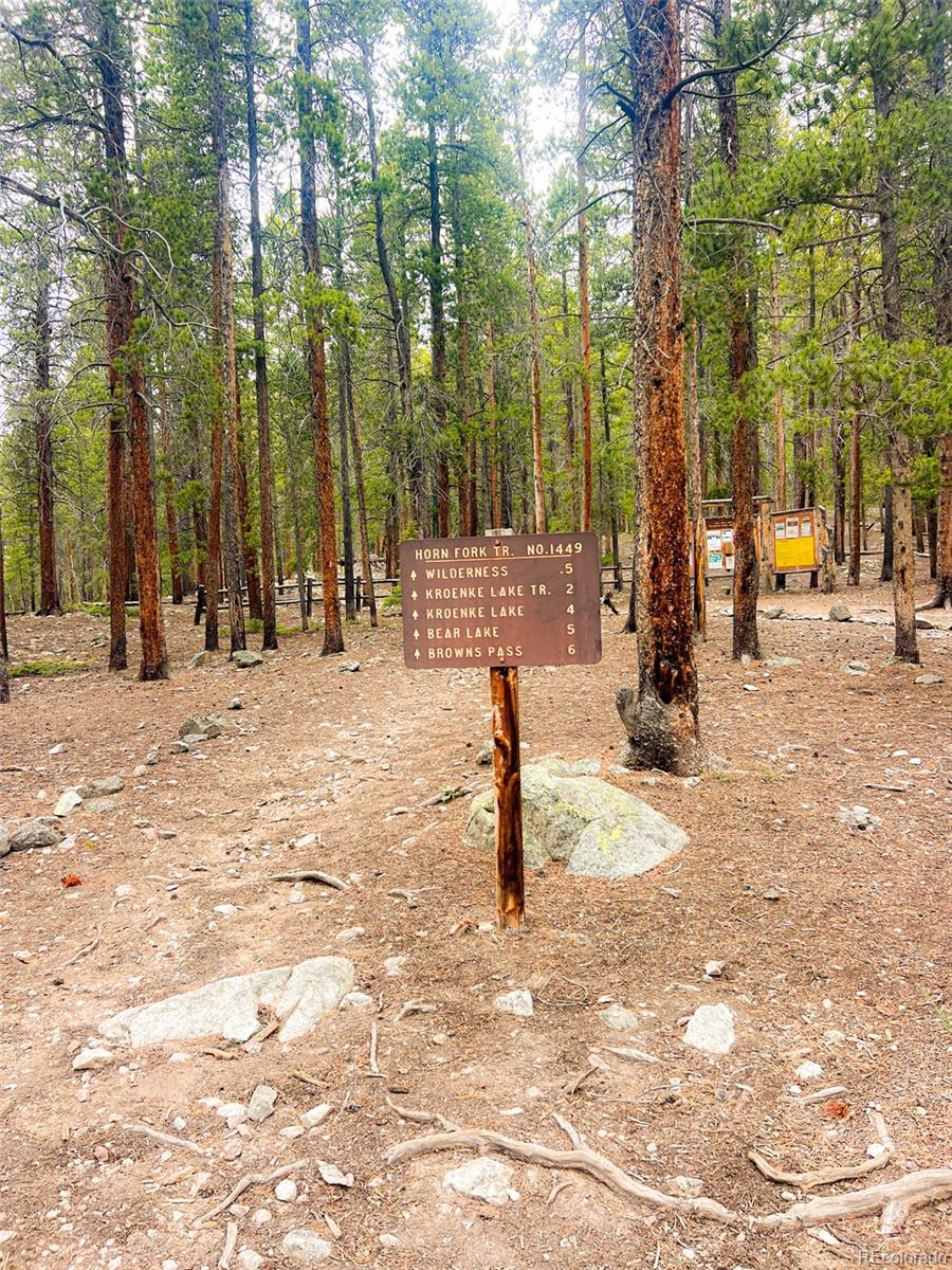 MLS Image #38 for 000  unassigned forest road 365 avenue,buena vista, Colorado