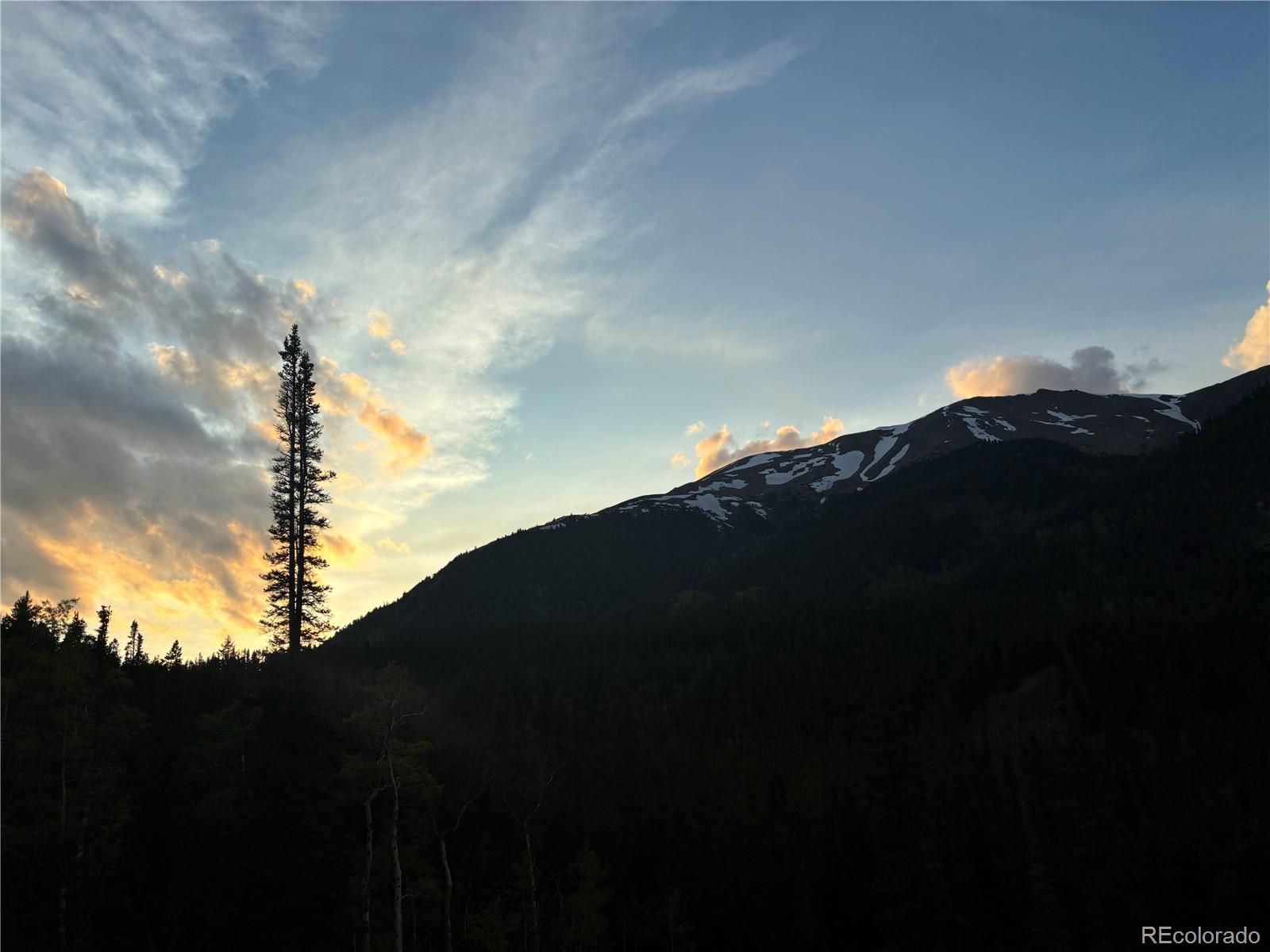 MLS Image #39 for 000  unassigned forest road 365 avenue,buena vista, Colorado