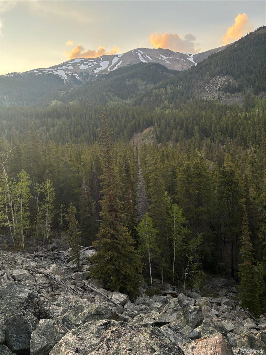 MLS Image #40 for 000  unassigned forest road 365 avenue,buena vista, Colorado