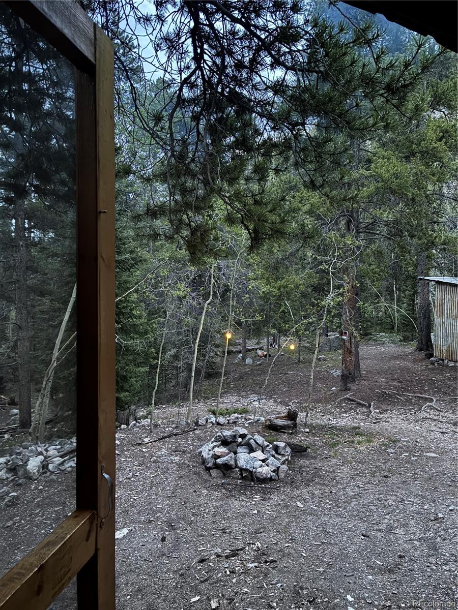 MLS Image #41 for 000  unassigned forest road 365 avenue,buena vista, Colorado