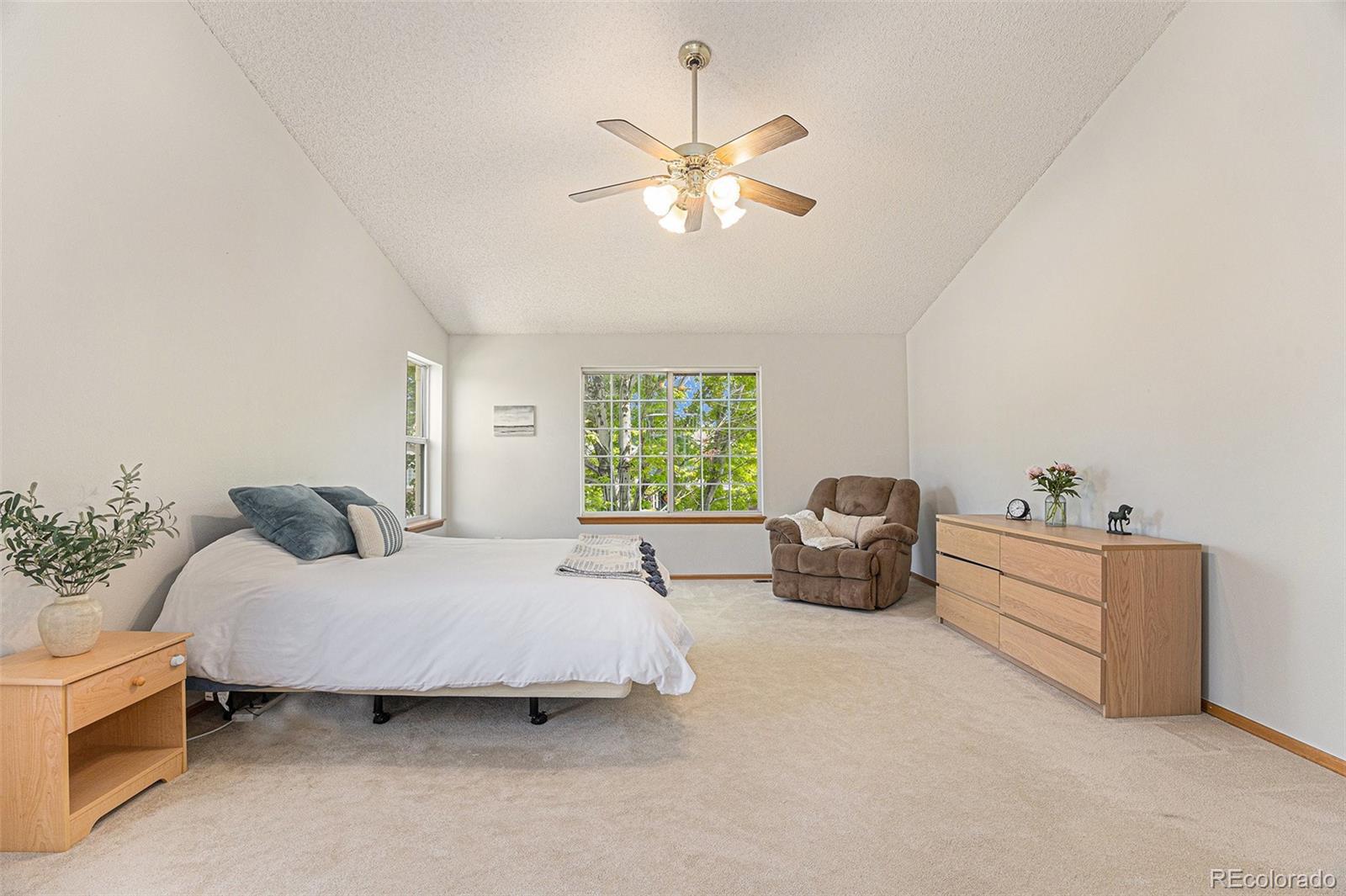 MLS Image #19 for 9346  lark sparrow drive,highlands ranch, Colorado