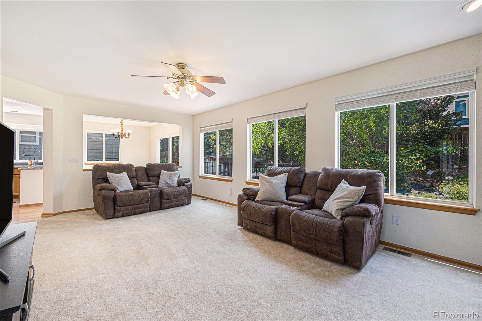 MLS Image #7 for 9346  lark sparrow drive,highlands ranch, Colorado