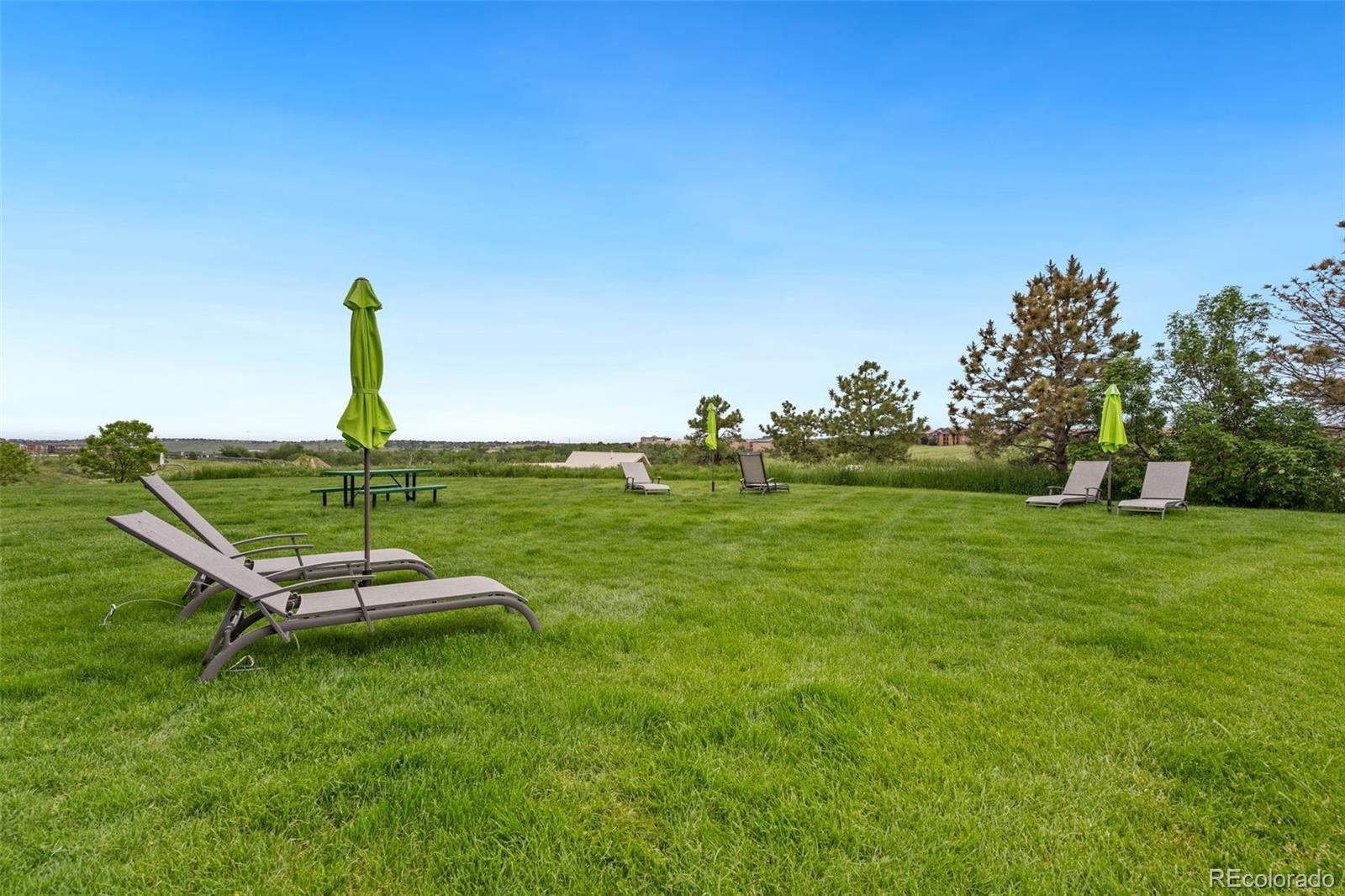 MLS Image #31 for 2169  eagle avenue,superior, Colorado