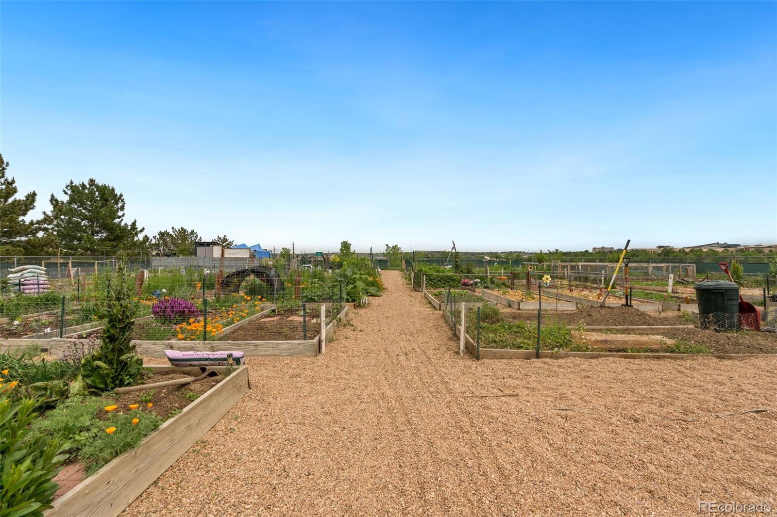 MLS Image #35 for 2169  eagle avenue,superior, Colorado