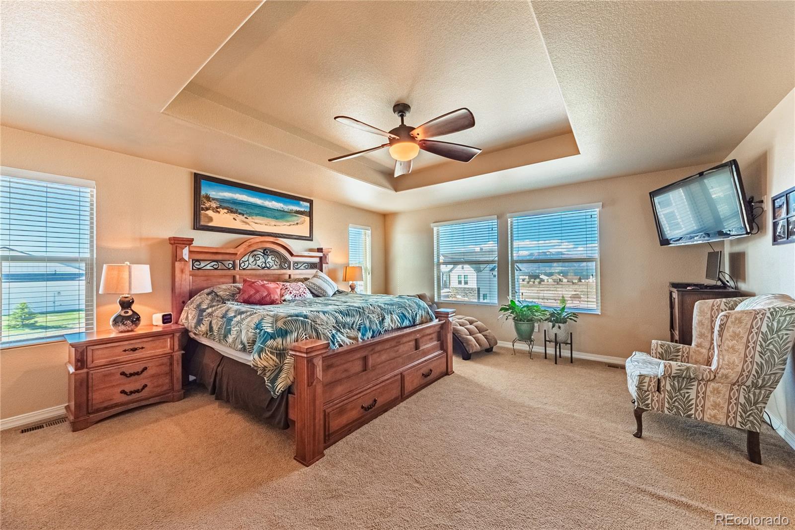 MLS Image #19 for 2459  delicato court,colorado springs, Colorado