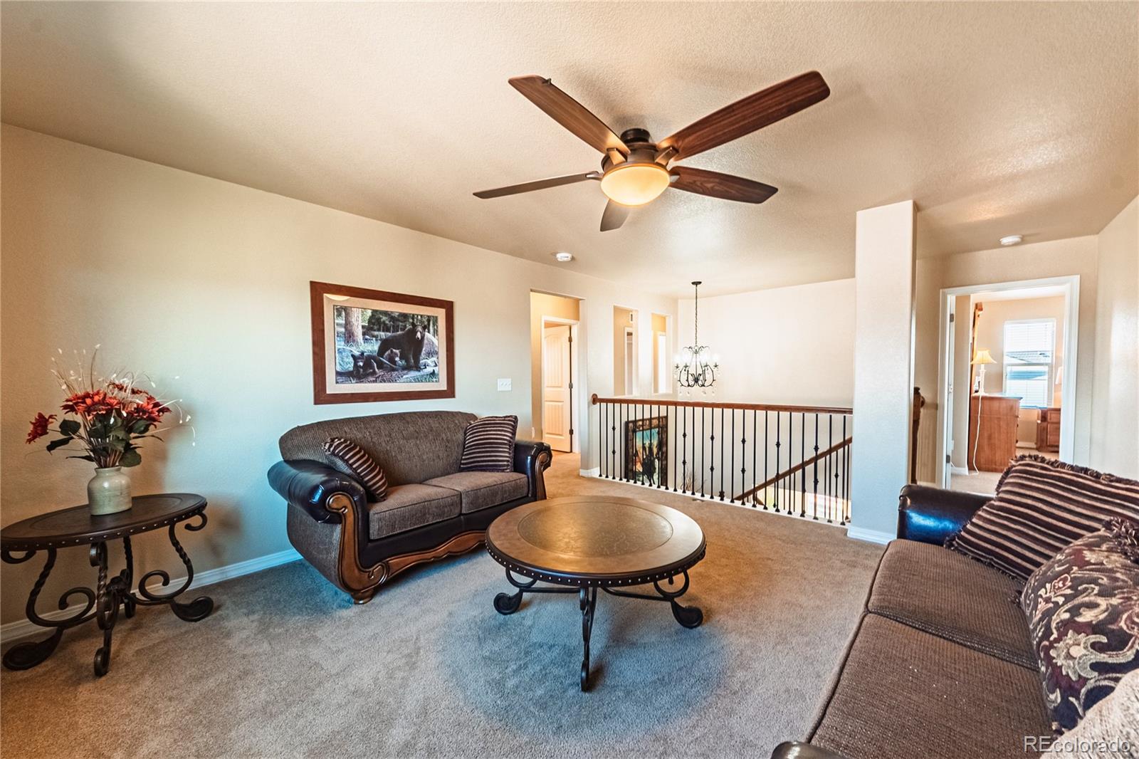 MLS Image #26 for 2459  delicato court,colorado springs, Colorado