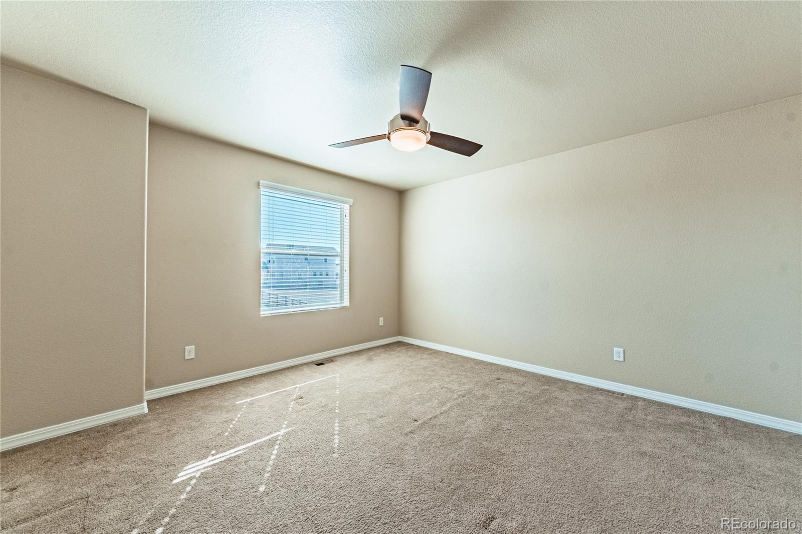 MLS Image #32 for 2459  delicato court,colorado springs, Colorado