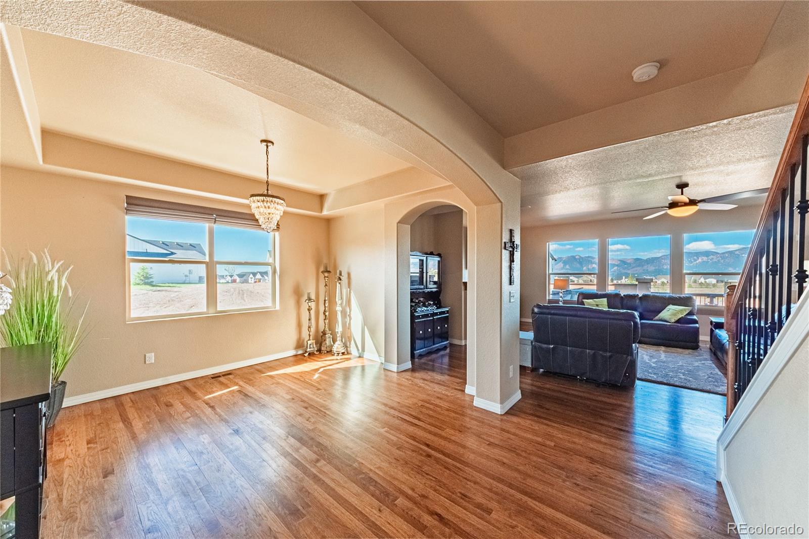 MLS Image #5 for 2459  delicato court,colorado springs, Colorado