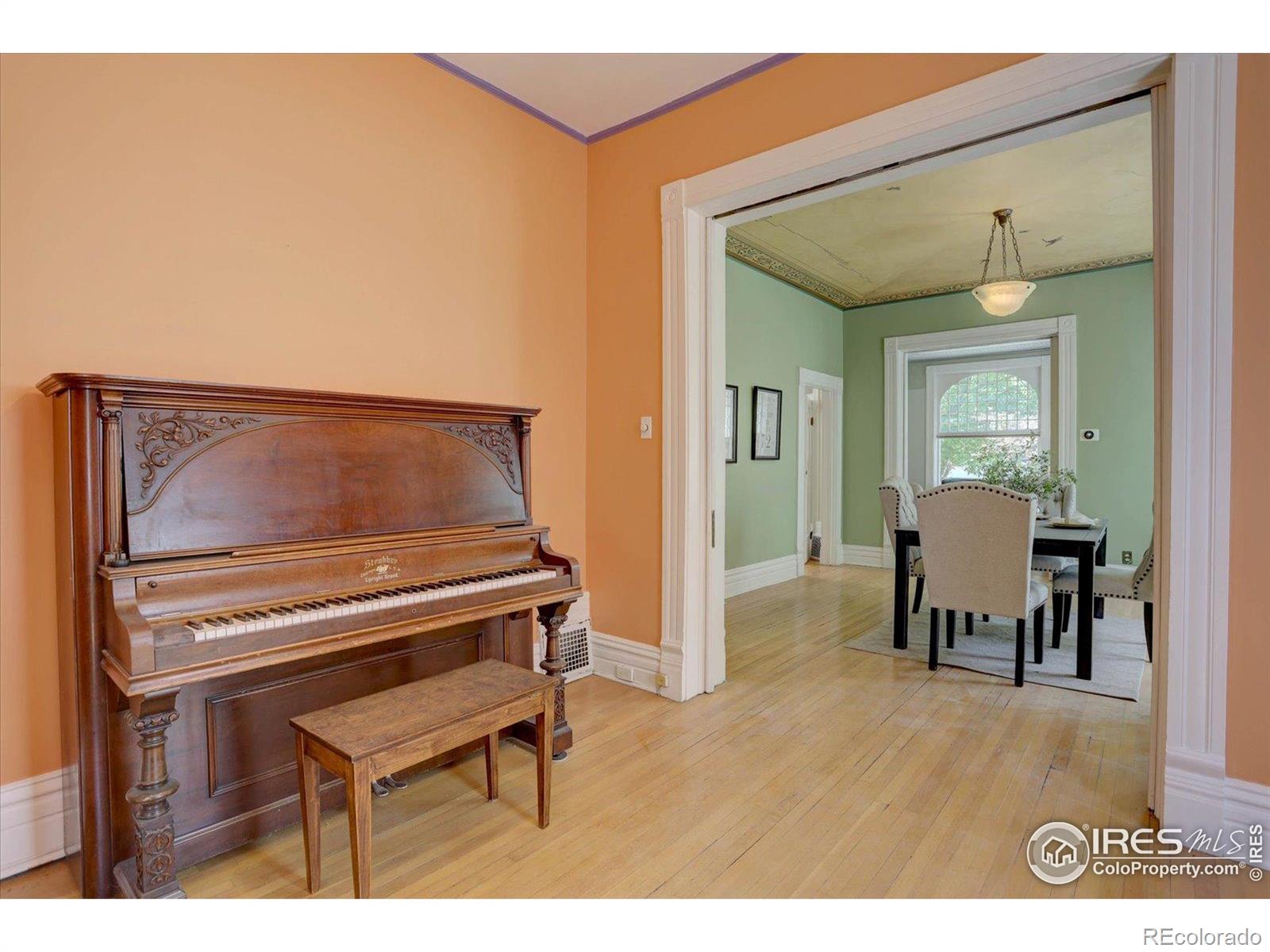 MLS Image #11 for 1315  gaylord street,denver, Colorado